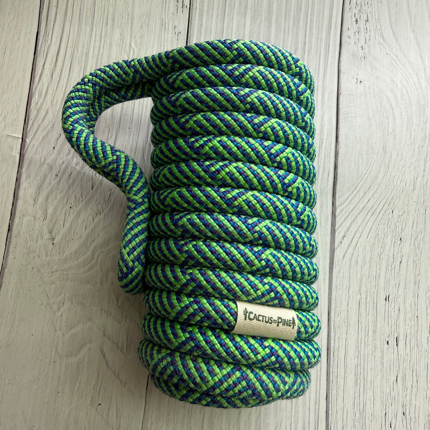 Electric Eel | Skinny Can Cozie