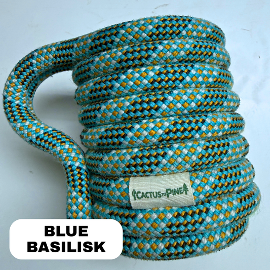 Blue Basilisk | Standard Can Cozie