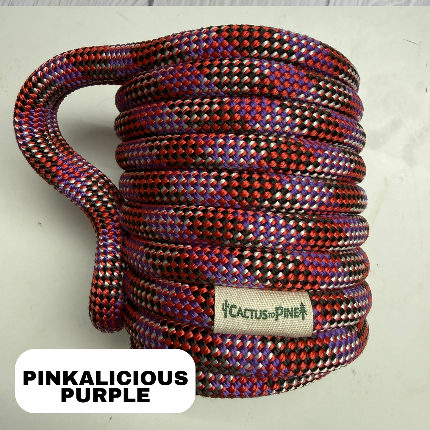 Pinkalicious Purple | Standard Can Cozie