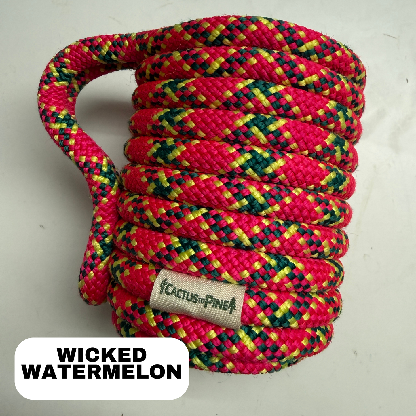Wicked Watermelon | Standard Can Cozie