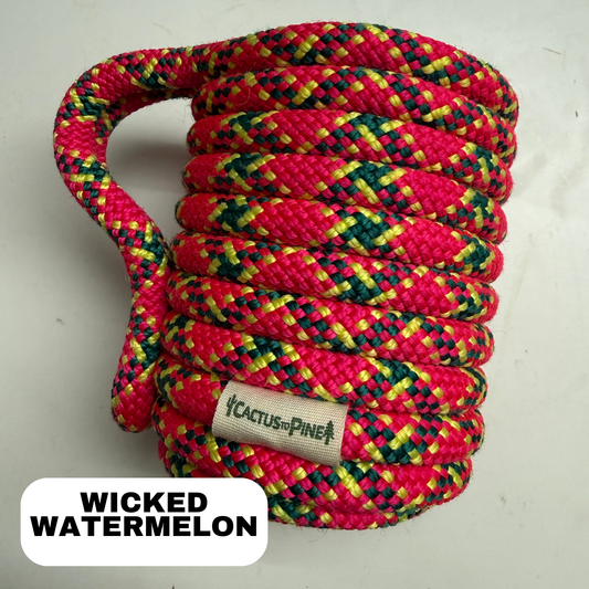 Wicked Watermelon | Standard Can Cozie