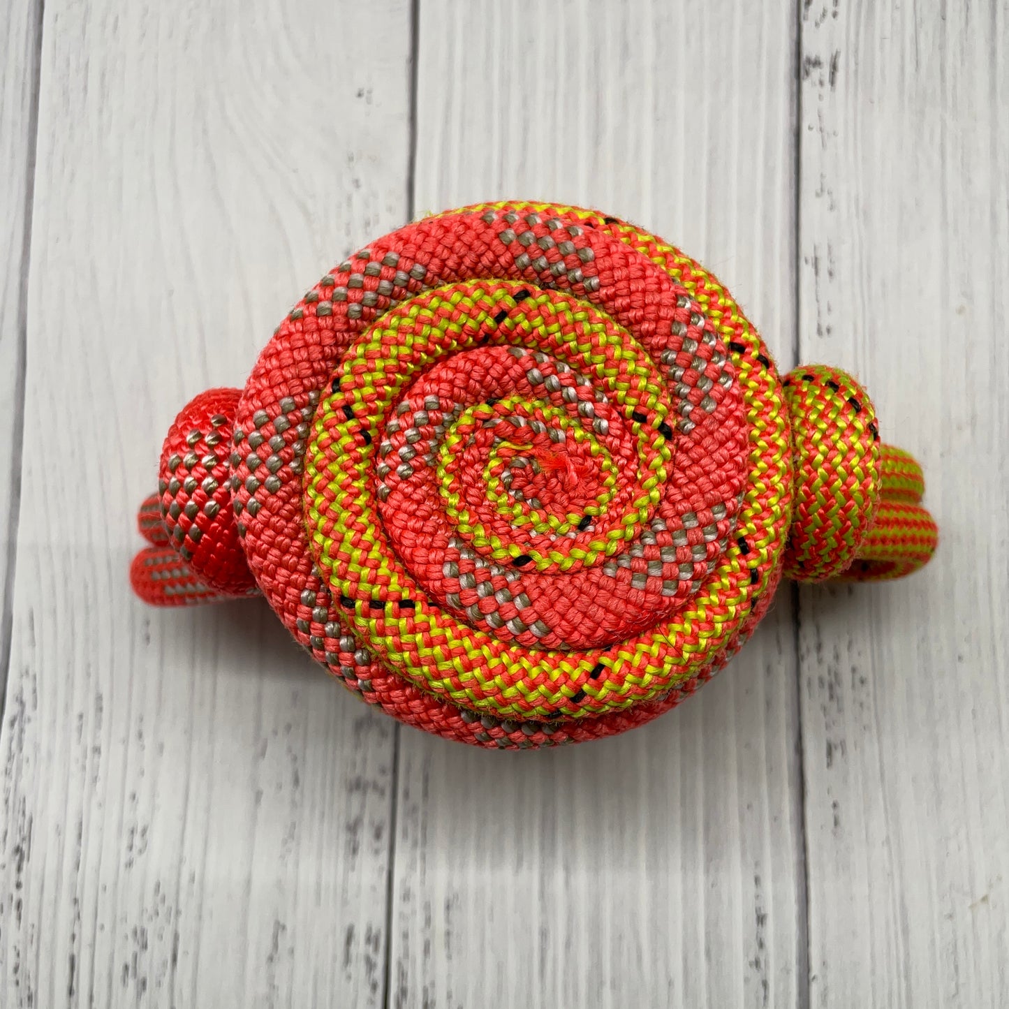 Sunburst | Sippy Cup | Standard Can Cozie