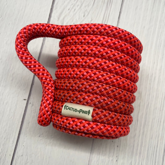 Flamingo Fizz | Standard Can Cozie