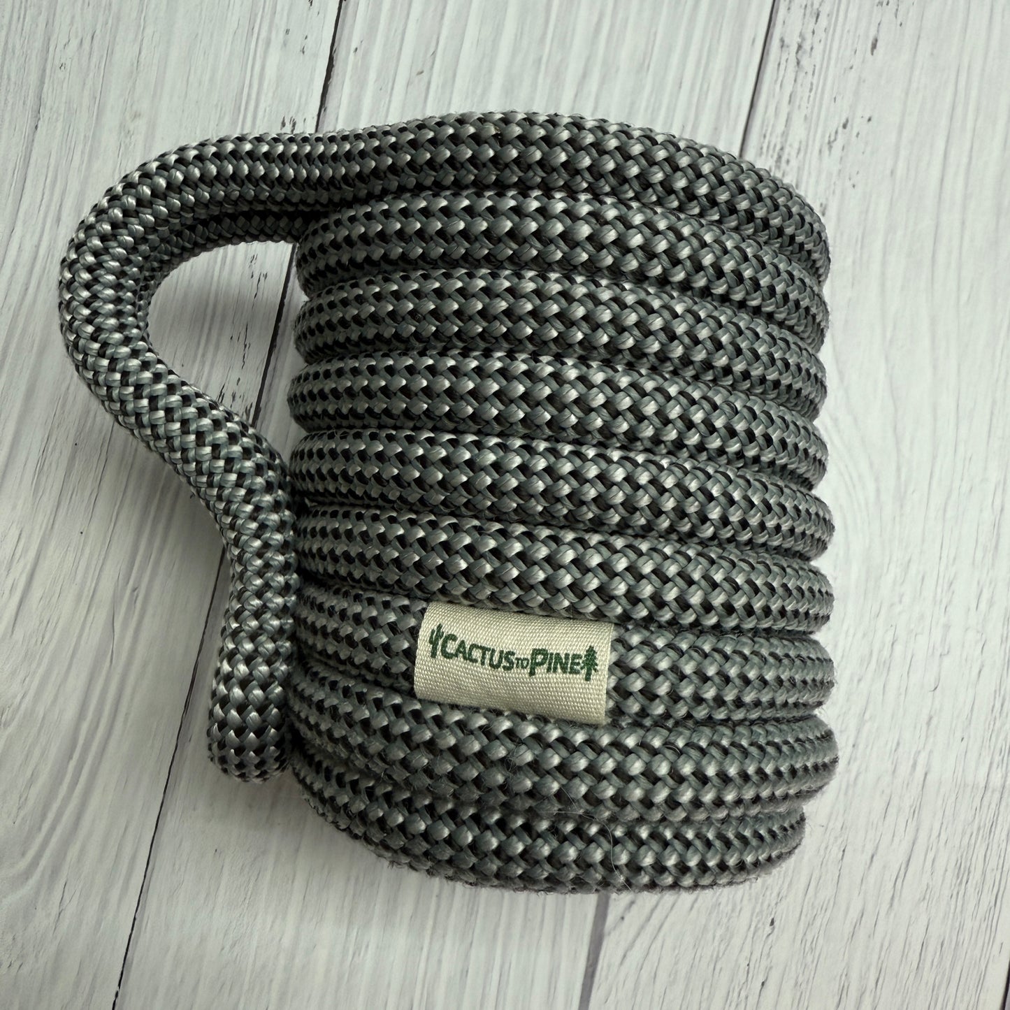 Electric Squirrel| Standard Can Cozie