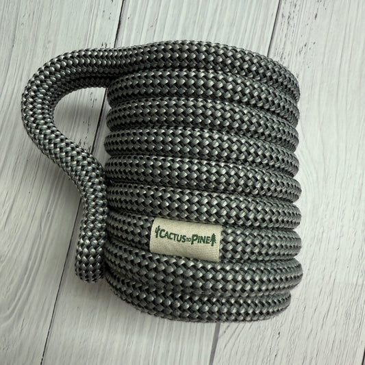 Electric Squirrel| Standard Can Cozie