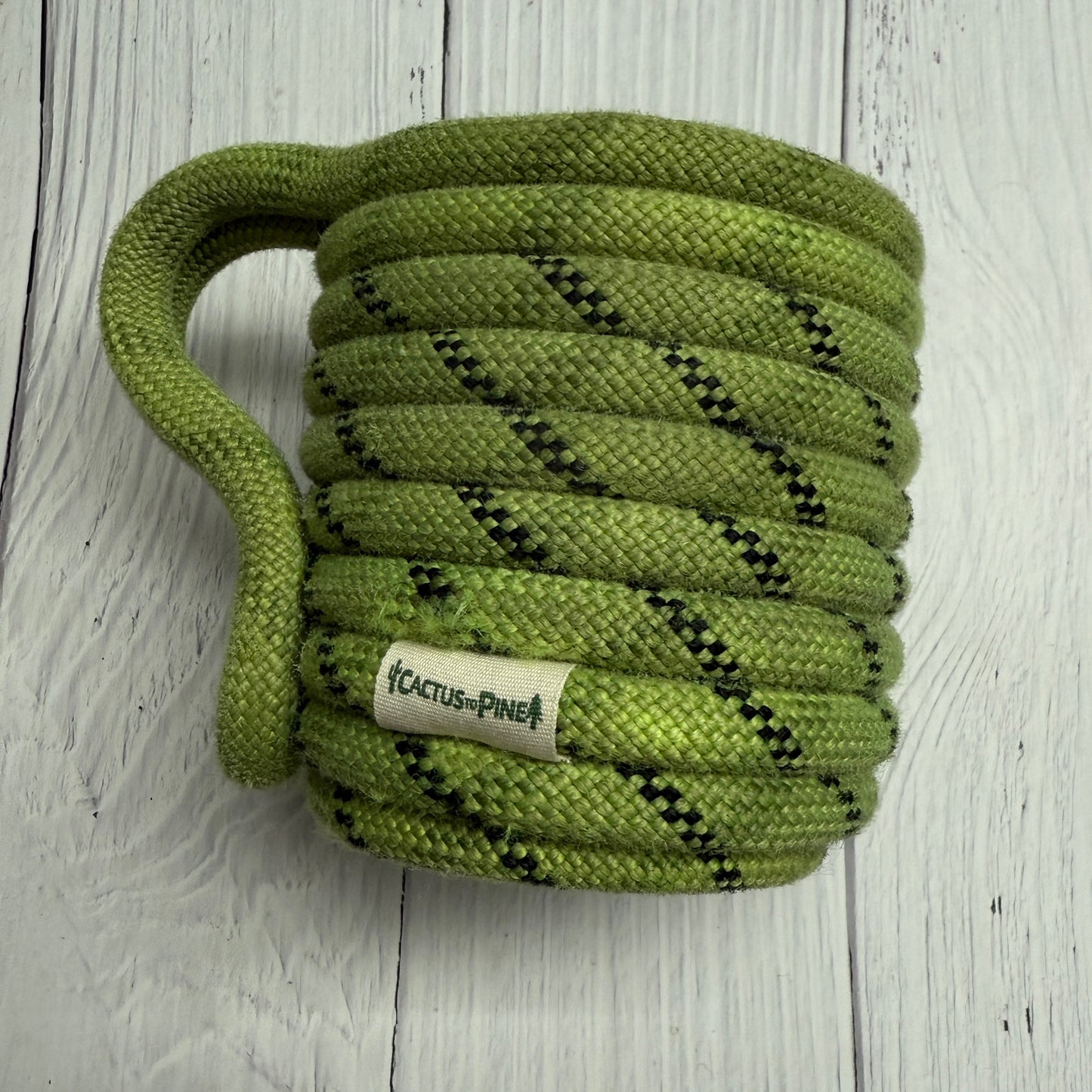 Cactus Shock Middle Mark| Pint Jar Cozie