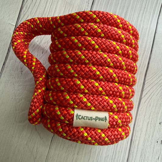 Phoenix | Standard Can Cozie