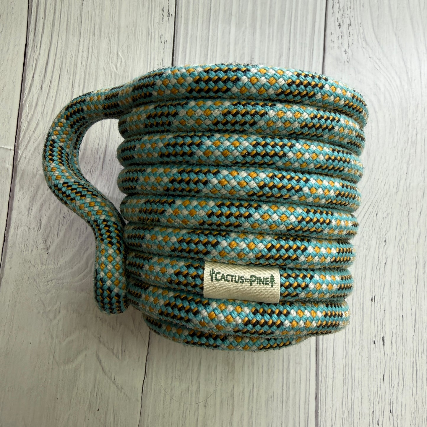 Blue Basilisk | Ice Cream Pint Cozie