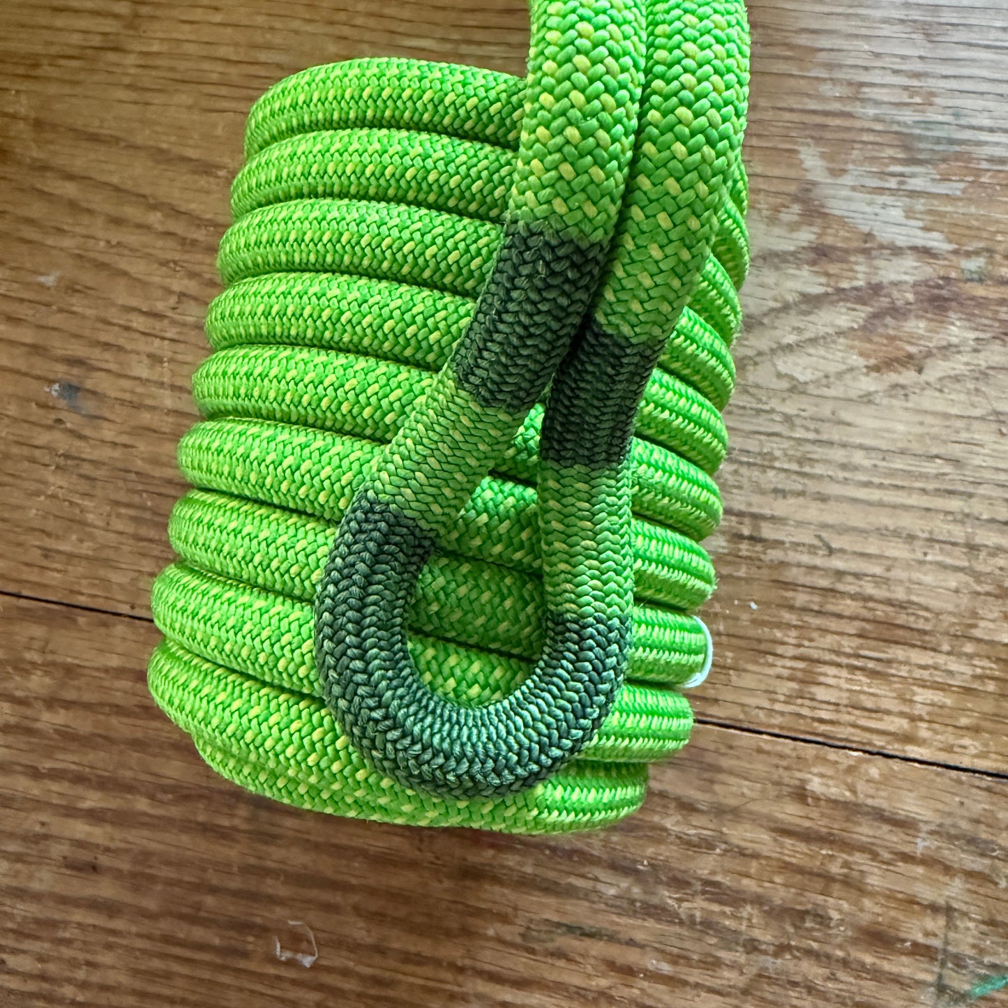 Electric Lettuce Middle Mark | Standard Can