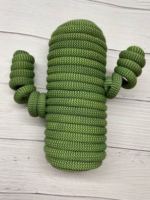 Rope Cactus